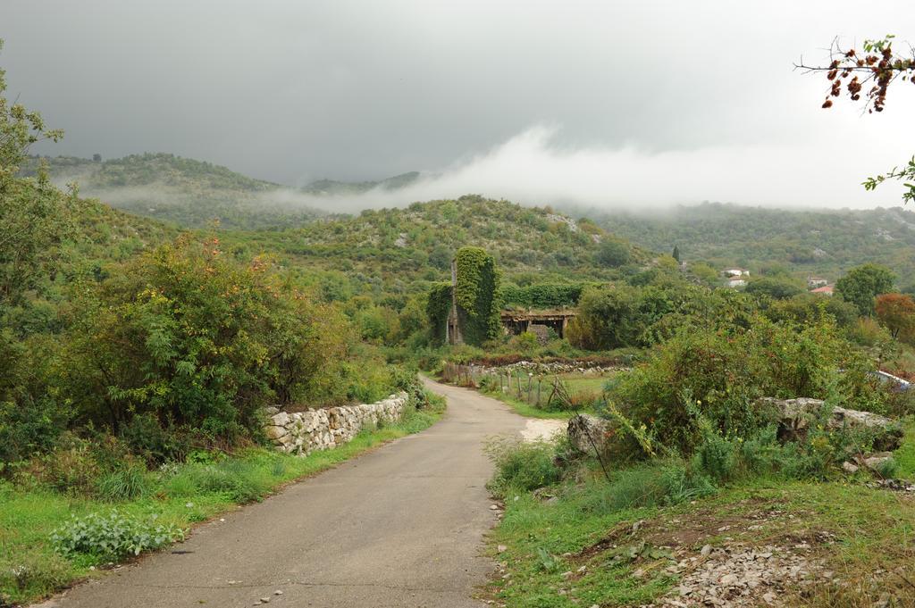 Holiday Home Skadar Lake Arbnes ห้อง รูปภาพ